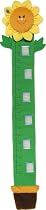 BeanFramed Sunflower Growth Chart