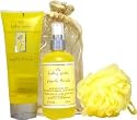 The Healing Garden Gingerlily Theraphy by Coty for Women 4 Piece Set Includes: Upbeat Bath & Shower Gel 7.0 oz + Positivity Body Mist 8.0 oz + Body Pouf Sponge + Drawstring Bag