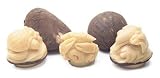 JUMBO TAGUA NUTS-BAG OF 10