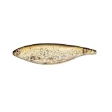 Sebile Stick Shad Jerkbait - Sinking