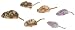 Pet Supplies : Dr. Noy's Cat Toys - Mice - 2 pack - in.Cat's with an Attitude in.