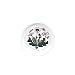 Portmeirion Botanic Garden Coasters/Sweet Dishes, Set of 2