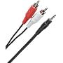 3.5mm Stereo Male to 2 RCA Male Cable 10 ft.