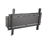 Salamander Flat Panel Mount for Synergy Triple