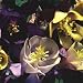 AQUILEGIA 'PERFUMED GARDEN' SEEDS