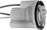 IMAGE OF Borg Warner PT53 Light Socket