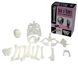 BOX O BONES BOX O BONES