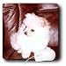 pomeranian10  - Dogs Pomeranian White Pomeranian Mouse Pads