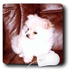 image link -  - B000EFH25W