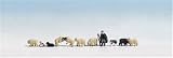 H0 Figs. 'Shepherd&sheep', 11pcs painted