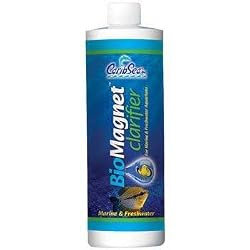 Bio-Magnet Clarifier