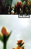 Nine Inch Nails - Fragile 11x17 Poster