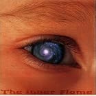 Click here to buy Inner Flame - A Rainer Ptacek Tribute (HDCD) by  Giant Sand, Robert Plant, Emmylou Harris, Evan Dando, and Victoria Williams .