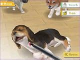 nintendogs チワワ&フレンズ 画像