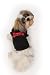 Mud Pie Dog Tee-Shirt Born to Ride X-Small