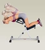 Kettler Medic Back Trainer Roman Chair
