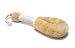 Merben Interational Medium Texture Sisal Body Brush with Cotton Cord Handle For Dry o...