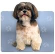 Paper House Productions Shih tzu Mouse Pad