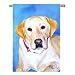 labrador32  - Labrador RetrieverYellow Banner