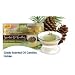 Glade Scented Oil Candle Glistening Snow + 8 Refills