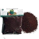 Chinese Cabbage Sprouting Seeds: 1/2 Lb. (8 Oz.) of Chinese Cabbage Seeds for Gardening, Growing Salad Sprouts, Cooking, Edible Seed, Hydroponics, Planting, Food Storage & More. Chinese Cabbage Sprouts Are High in Vitamin a and C, Minerals and When Exposed to Light Are High in Chlorophyll.