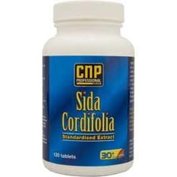 CNP Professional Sida Cordifolia 120 Tabs