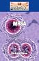 MRSA (Diseases & Disorders)