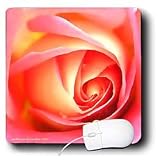 Lee Hiller Designs Roses - Pink Gold Peace Rose - Mouse Pads