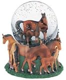 Review WhalesDirect  / Mare & Foal Horse Musical Snow Globe