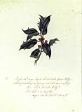 As You Like It-Act II Scene VII Poster Print