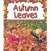 Autumn Leaves (Pebble Books)