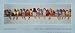 Hector Giacomelli - The Bird Perch Size 16x36 by Hector Giacomelli. Size 32.56 inches...
