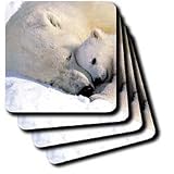 Wild animals - Polar Bear and Cub - Coasters
