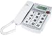Jwin Jtp531Wht 12-Memory Big-Button Speakerphone With Dual Caller Id (White)