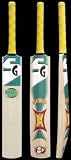 Buy SG Nexus - English Willow Cricket Bat.
