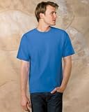 Hanes TAGLESS 6.1 Short Sleeve Tee Ash S