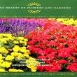 The Beauty Of Flowers & Gardens - The Power Of Flowers 5