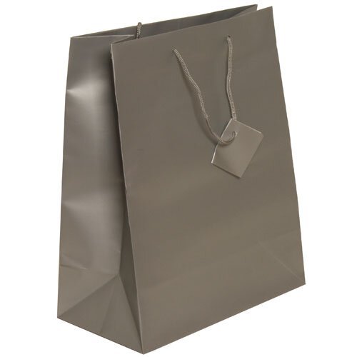 Silver Large (10 x 13 x 5) Matte Gift Bag 100 bags per box Special