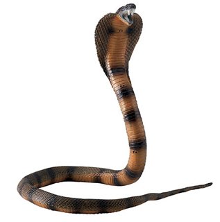 Childrens Toyshop  Toys : Safari Incredible Creatures - Cobra
