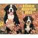 Just Bernese Mountain Dogs 2009 Wall Calendar