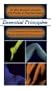 The Essential Principles: Medical Assessment & Treatment DVD - Strategies for Soft Tissue Pain and Orthopedic Injuries