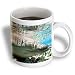 VWPics Dolphins - Beaked Whale stranded on coral reef during low tide, Mesoplodon Mili, Marshall Islands (N. Pacific) - Mugs