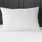 Review Sleep-Ease LVP2026 / Sleep-Ease Shredded Memory Foam Pillow