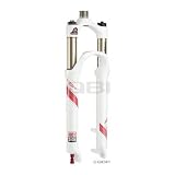 RockShox Reba Team Air U-Turn Fork (White/Red Blackbo X Moco Disc '10, 90-120mm)