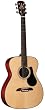 Alvarez RF8 Acoustic Guitar and Case, Natural