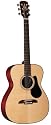 Alvarez RF8 Folk Acoustic Guitar With Hard Case