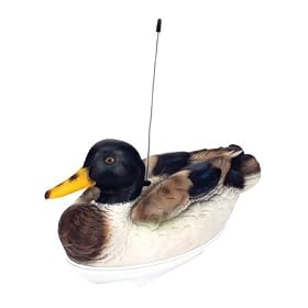 Click here to buy Retrieval Decoy 2.4 RTR by Pro Boat.