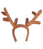 Reindeer Antlers