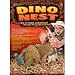 I Dig Dinosaurs Dino Nest