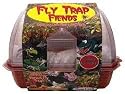 Grow Your Own Fly Traps Fiends Greenhouse